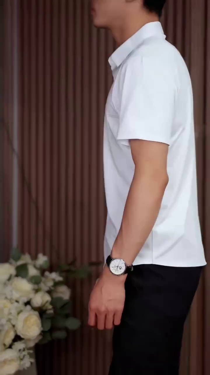 Mens Formal Regular Fit Shirt/Half Sleeve Cotton Shirts