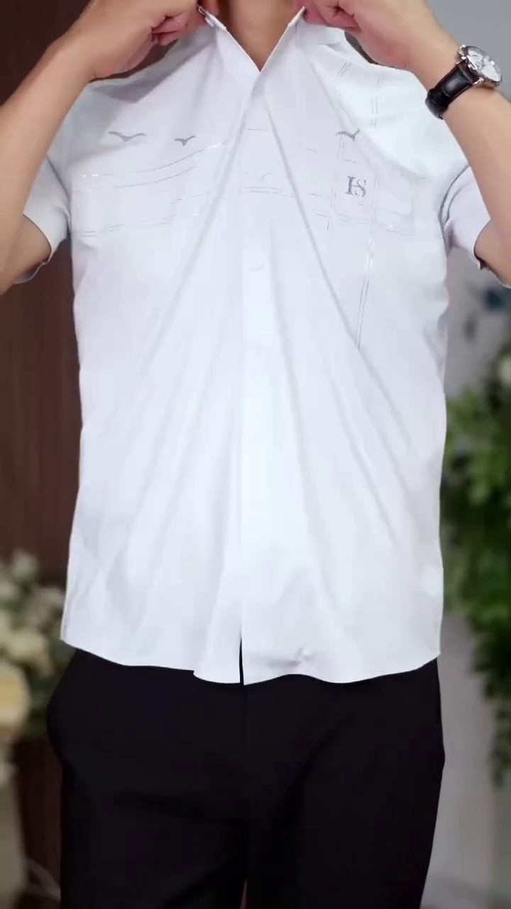 Mens Formal Regular Fit Shirt/Half Sleeve Cotton Shirts