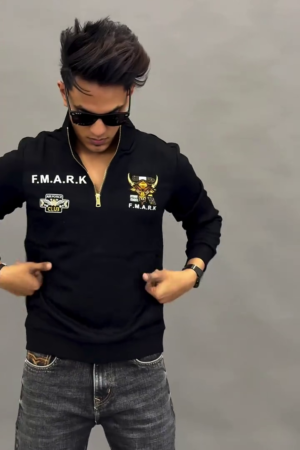 Men Embroidered Regular Fit High-Neck Pullover
